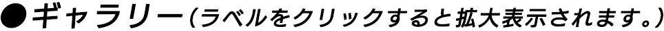 ● ギャラリー（選んで拡大表示）